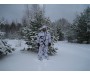 Камуфляжная лента многоразовая McNett снег, 3,66 м, ширина 5 см